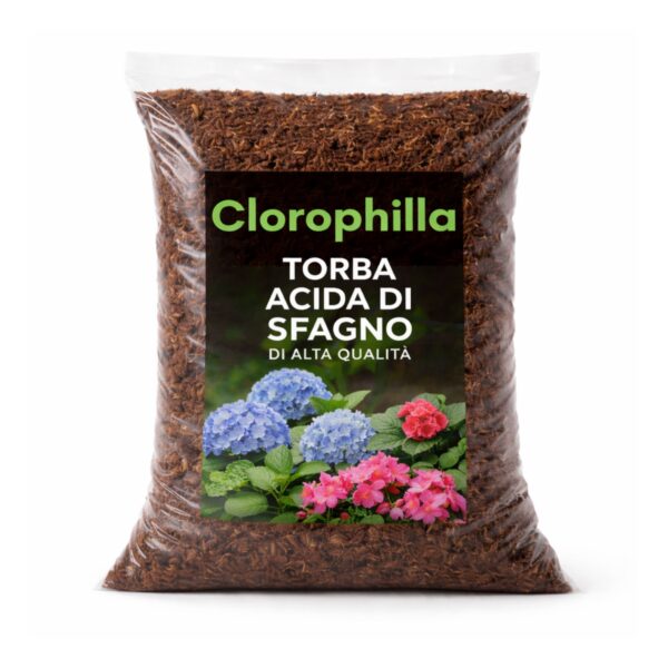 Immagine prodotto