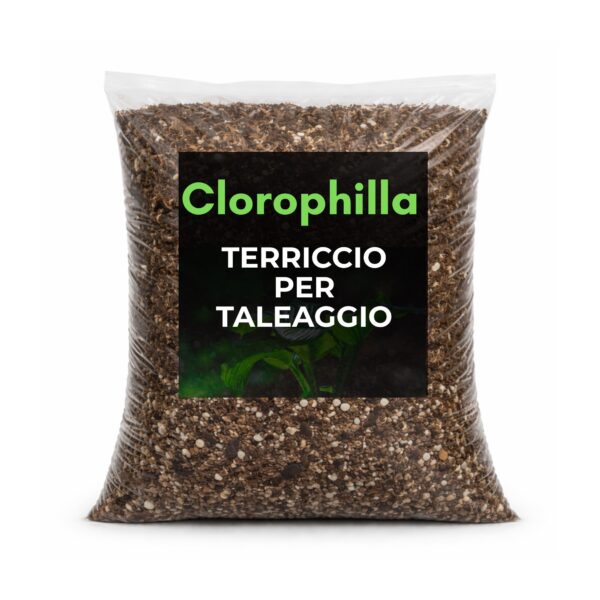 Immagine prodotto